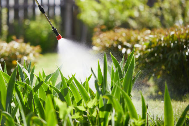 24/7 Emergency Mosquito Control experts in Luling, LA