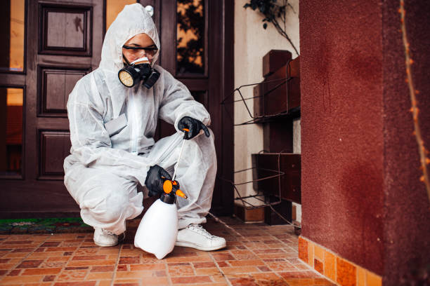 Reliable Mosquito Control contractor in Luling, LA by Nex Pest Control