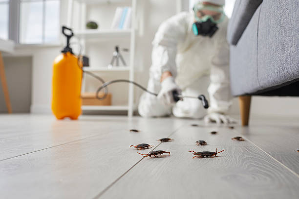 Trusted Cockroach Control service in Luling, LA - Nex Pest Control