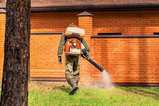 Trusted Mosquito Control service in Luling, LA - Nex Pest Control
